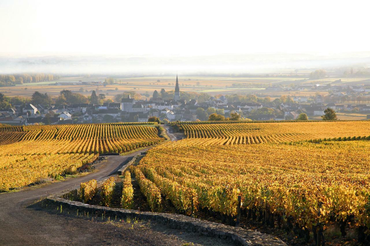 Clos Saint Jacques - Maison D'Hotes Мерсо Экстерьер фото